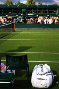 Grass court at Wimbledon with spectators watching during the Championships, illustrating how tradition and live experiences create lasting value in the digital age.