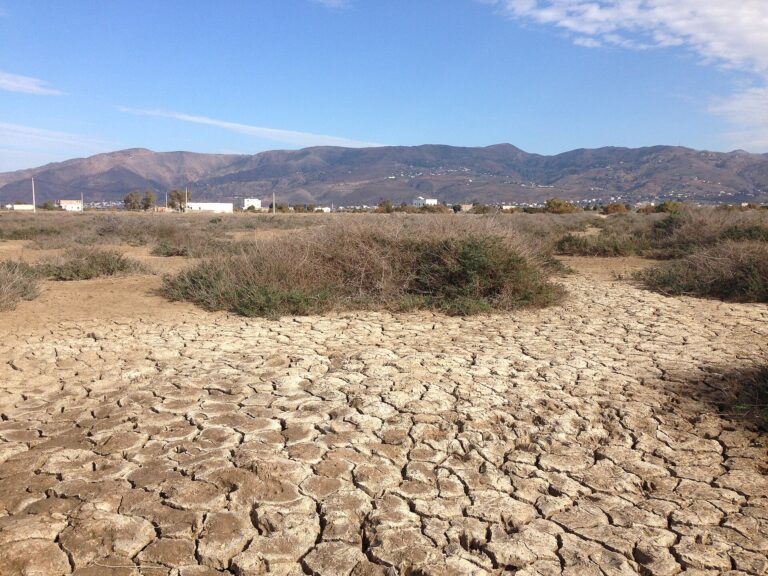 Dry cracked earth stretching toward distant mountains under a clear sky, showing the effects of drought and water scarcity