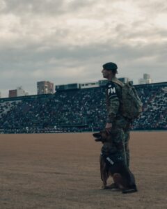 Military police officer with a security dog standing inside a stadium as a large crowd watches from the stands.