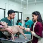 Pet owner with a dog during a veterinary checkup, highlighting the growing cost of pet healthcare and permanent household spending.