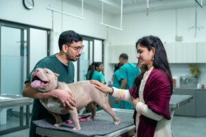 Pet owner with a dog during a veterinary checkup, highlighting the growing cost of pet healthcare and permanent household spending.