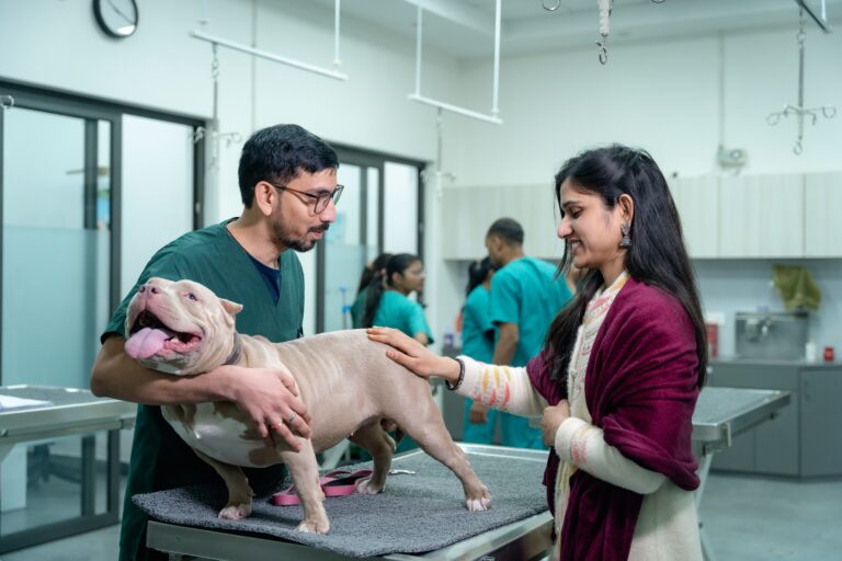 Pet owner with a dog during a veterinary checkup, highlighting the growing cost of pet healthcare and permanent household spending.