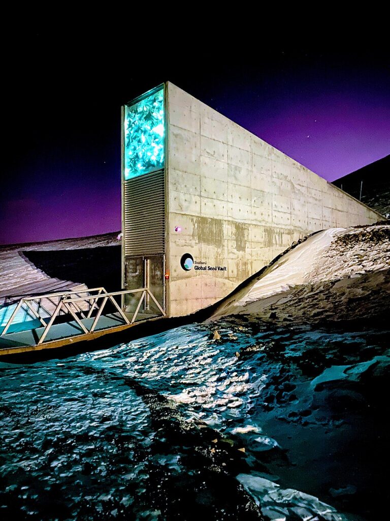 Interior of the Svalbard Global Seed Vault showing its concrete structure and illuminated access corridor.