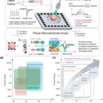 Brain organoid connected to a microelectrode array for biological computing