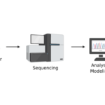 Illustration of personalized cancer therapy, showing tumour sampling, genetic sequencing, data analysis and tailored treatment.